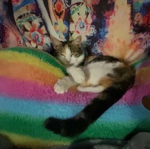 Meet your Posher, Natalia